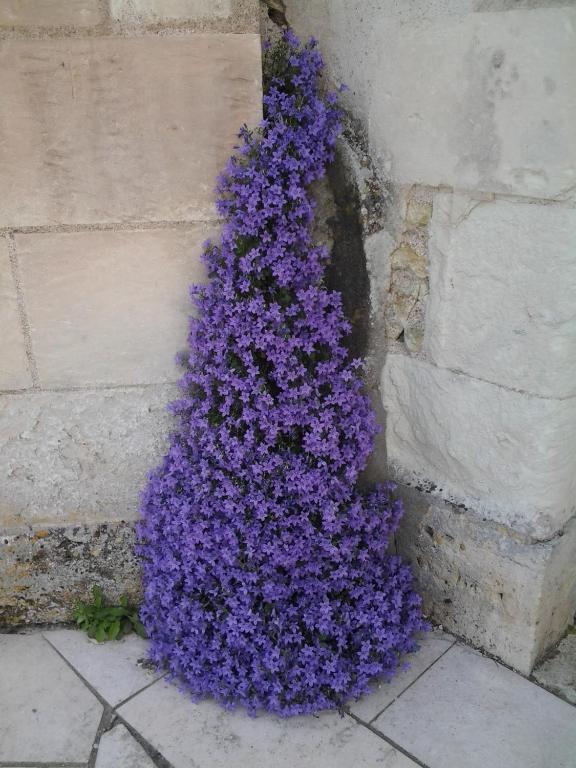 Hotel La Renaudière à Chenonceaux Extérieur photo